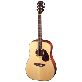 Акустическая гитара Cort Earth100 NS